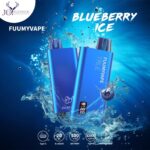 FUUMY VAPE Blueberry Ice 12000 Puffs