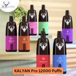 Kalyan Pro 12000 Puffs