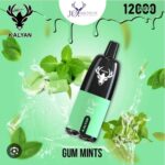 Kalyan Pro Gum Mints 12000 Puffs