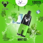 Kalyan Pro Mint Ice 12000 Puffs