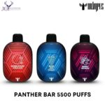 Panther Bar 5500 Puffs