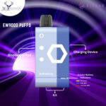 ElfBar EW9000 Puffs Blue Razz Ice