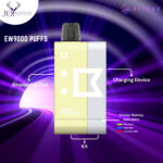 ElfBar EW9000 Puffs Dragon Strawnana