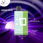 ElfBar EW9000 Puffs Miami Mint