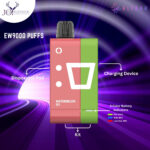 ElfBar EW9000 Puffs Watermelon Ice