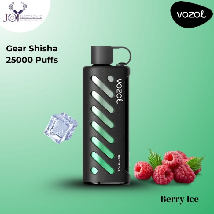 VOZOL Gear Shisha Berry Ice 25000 Puffs