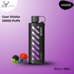 VOZOL Gear Shisha Berry Mint 25000 Puffs