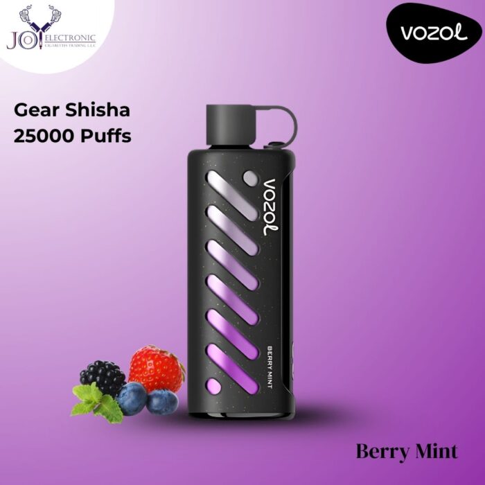 VOZOL Gear Shisha Berry Mint 25000 Puffs