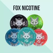 Fox Nicotine Pouches In UAE
